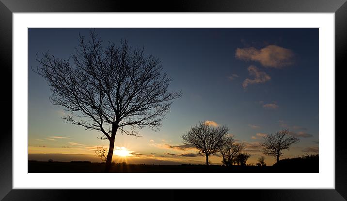 Winter Trees Framed Mounted Print by Simon Wrigglesworth