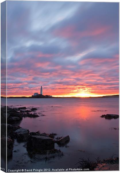 St Marys Lighthouse Sunrise Canvas Print by David Pringle