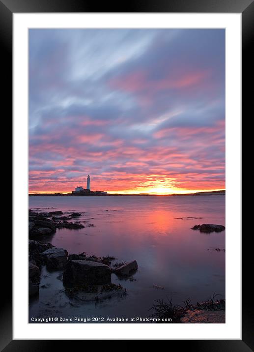 St Marys Lighthouse Sunrise Framed Mounted Print by David Pringle