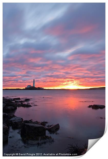 St Marys Lighthouse Sunrise Print by David Pringle