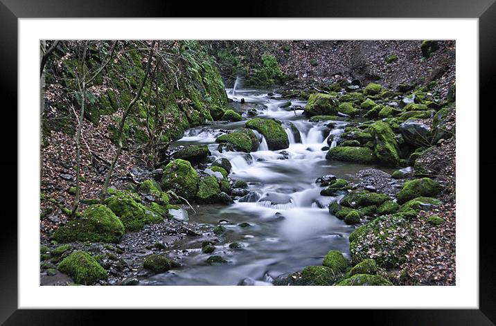 Alva Burn, Clackmannanshire Colour Framed Mounted Print by Buster Brown