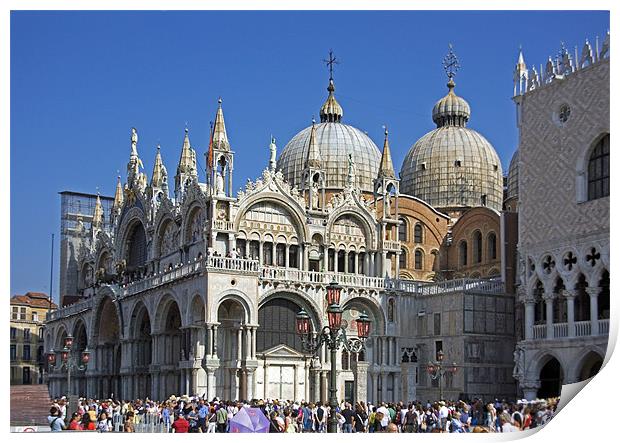 Basilica di San Marco Print by Tom Gomez