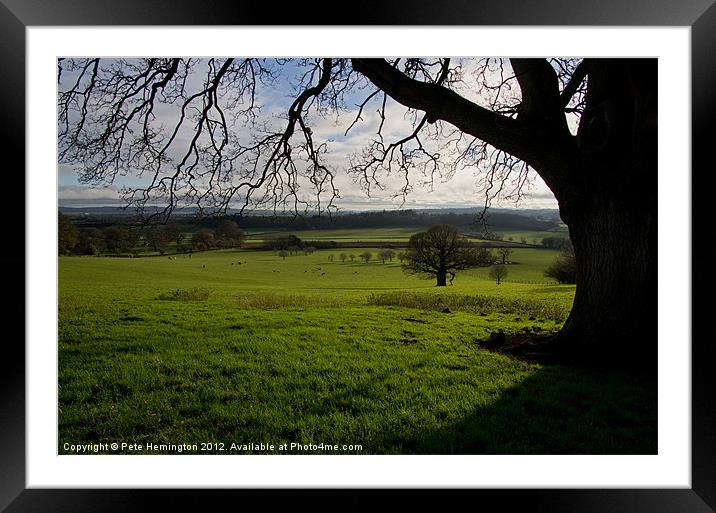 Green grass of Devon Framed Mounted Print by Pete Hemington