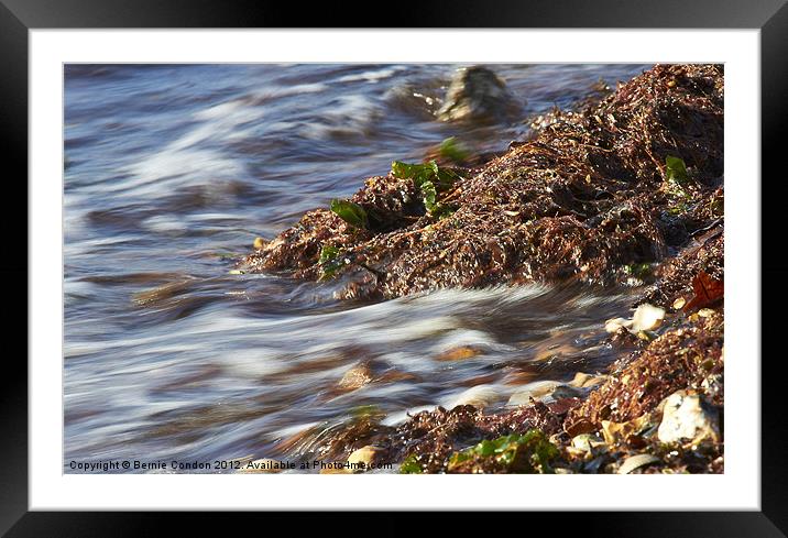 Carpet of water Framed Mounted Print by Bernie Condon