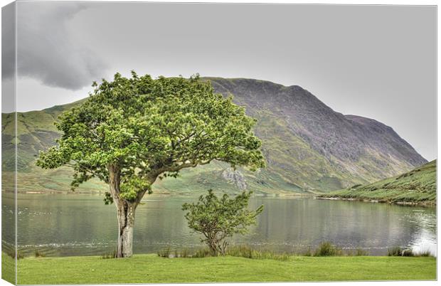 Crummock Canvas Print by Julie  Chambers