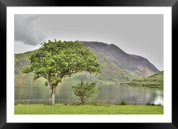 Crummock Framed Mounted Print by Julie  Chambers