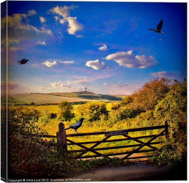 Entering Crow Country Canvas Print by Chris Lord