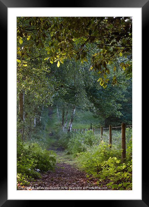 Forest Path Framed Mounted Print by James Mc Quarrie