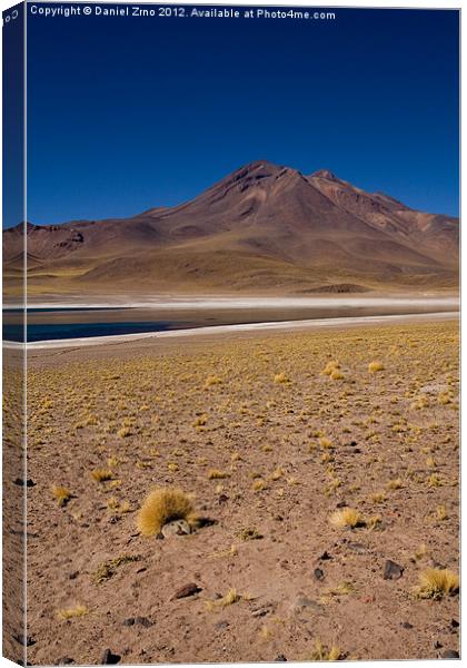 Laguna Miscanti Atacama Canvas Print by Daniel Zrno