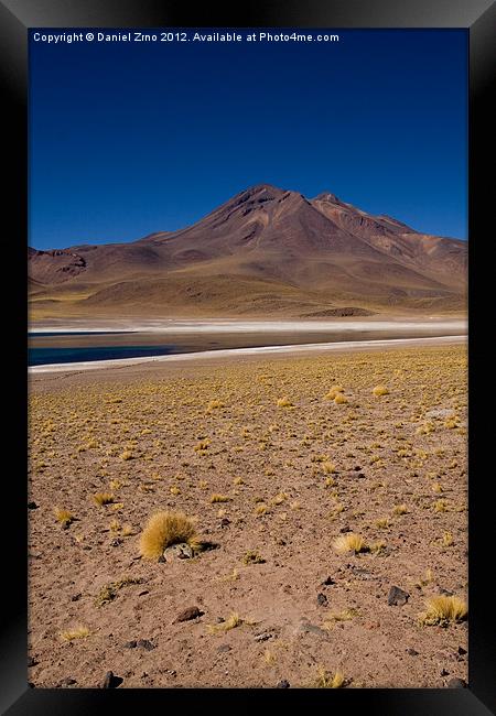 Laguna Miscanti Atacama Framed Print by Daniel Zrno
