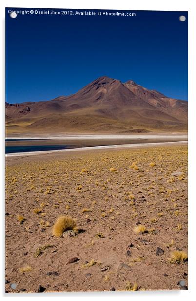 Laguna Miscanti Atacama Acrylic by Daniel Zrno