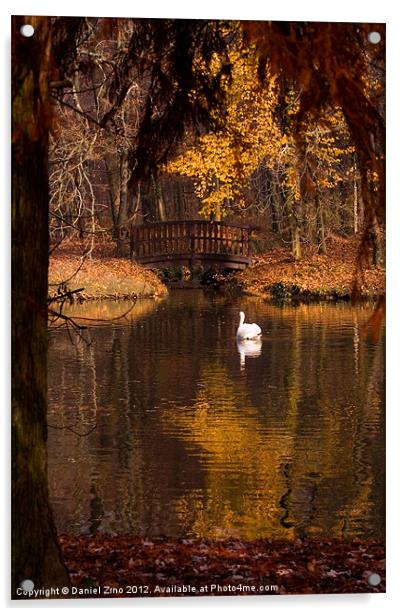 Swan at Maksimir Lake Acrylic by Daniel Zrno