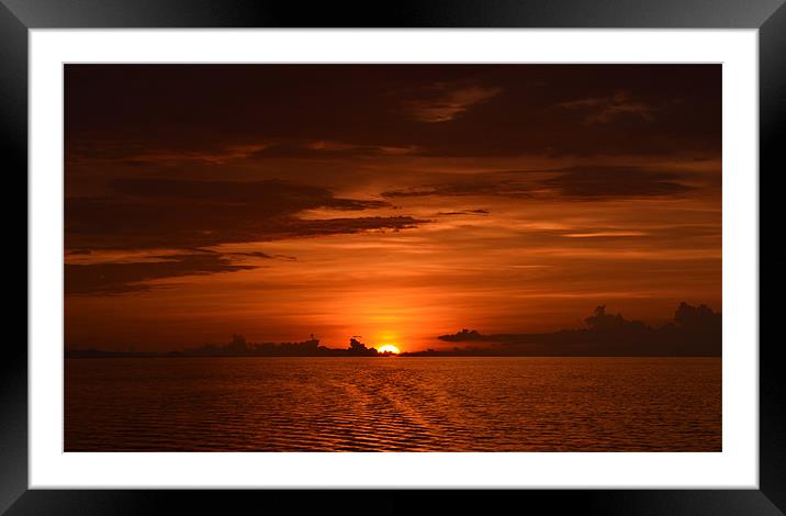 Golden Sunset across Indian ocean Framed Mounted Print by Beryl Osborne