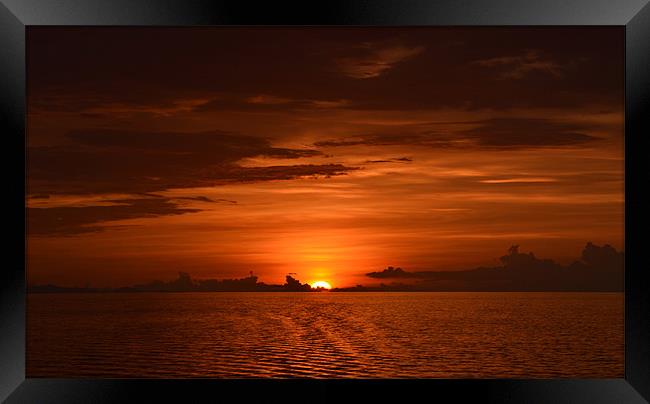 Golden Sunset across Indian ocean Framed Print by Beryl Osborne