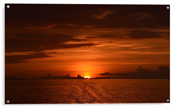 Golden Sunset across Indian ocean Acrylic by Beryl Osborne