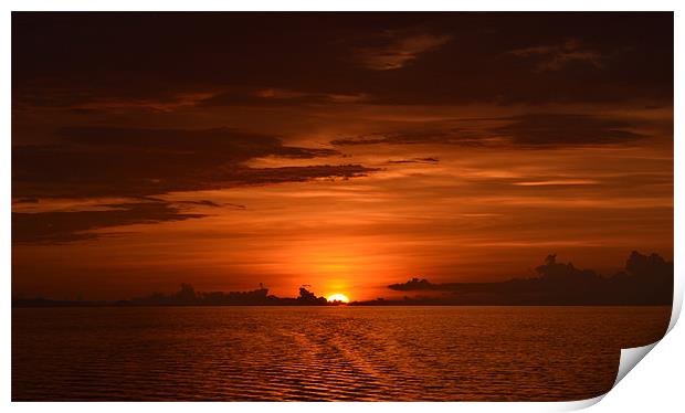 Golden Sunset across Indian ocean Print by Beryl Osborne