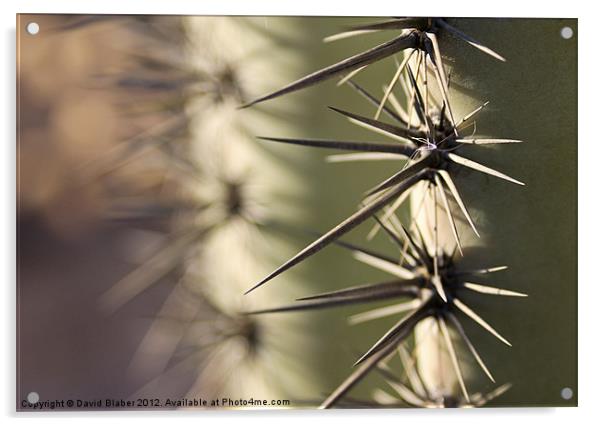 Arizona Cactus. Acrylic by David Blaber