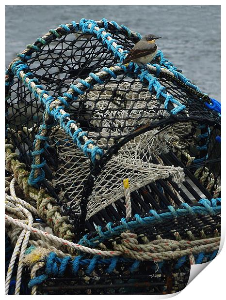 Wheatear on Lobster Pots Print by Jacqi Elmslie