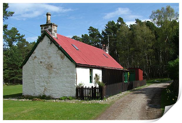 Cottage at Loch an Eilean Print by Tom Gomez