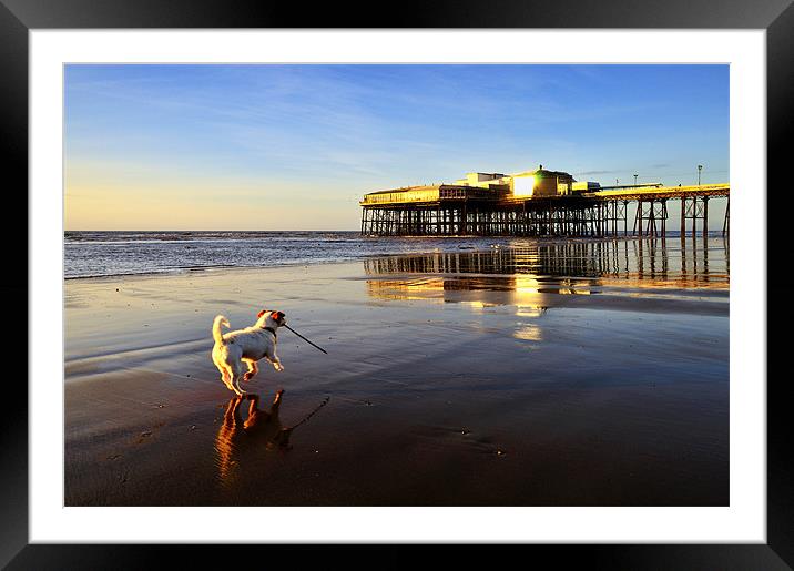 Walking The Dog Framed Mounted Print by Jason Connolly