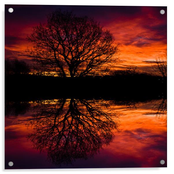 Dawn Greeting 2 Acrylic by John Ellis