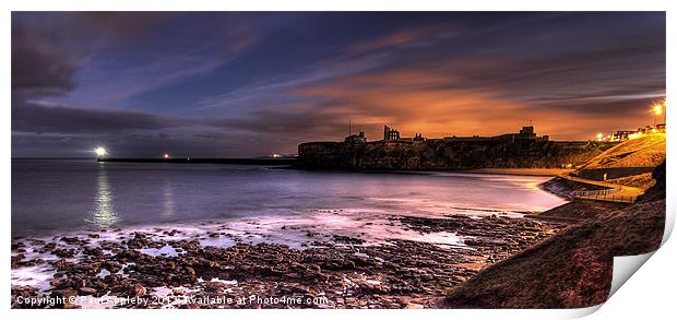 Priory and Bay, Tynemouth Print by Paul Appleby