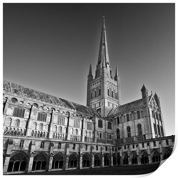Norwich Cathedral Print by Stephen Mole