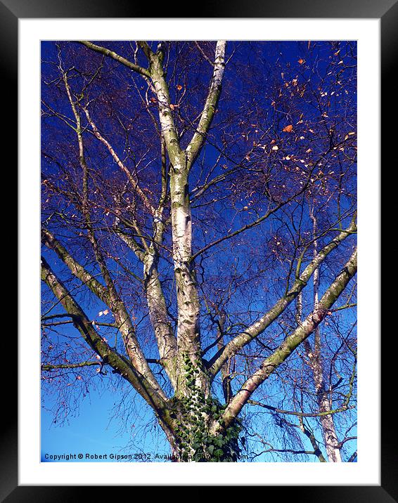 Reaching for the blue Framed Mounted Print by Robert Gipson