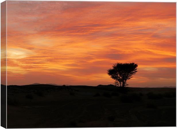 Sahara Sunset Canvas Print by Andrew Watson