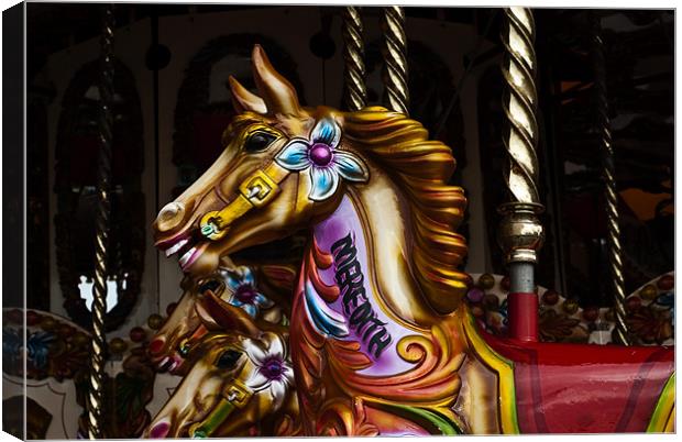 Merry go round horses 4 Canvas Print by Steve Purnell