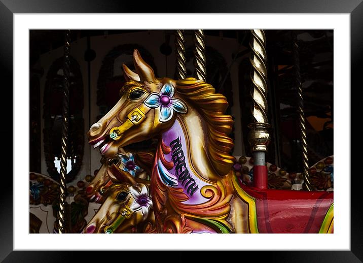 Merry go round horses 4 Framed Mounted Print by Steve Purnell