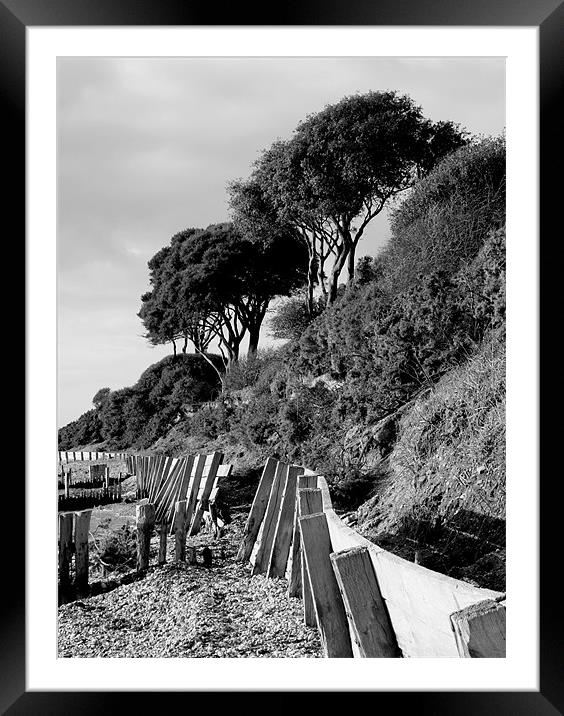 Lepe Country Park Meets The Beach Framed Mounted Print by Louise Godwin