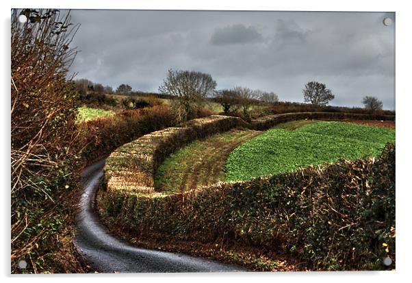 Devon Country Lane Acrylic by Dave Livsey