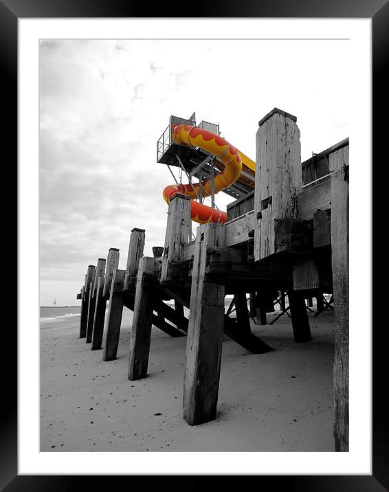 Snake On The Pier Framed Mounted Print by justin rafftree