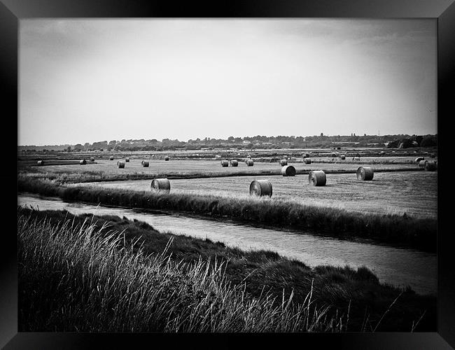 Hay Bales At Orford Ness Framed Print by justin rafftree