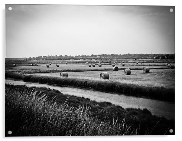 Hay Bales At Orford Ness Acrylic by justin rafftree