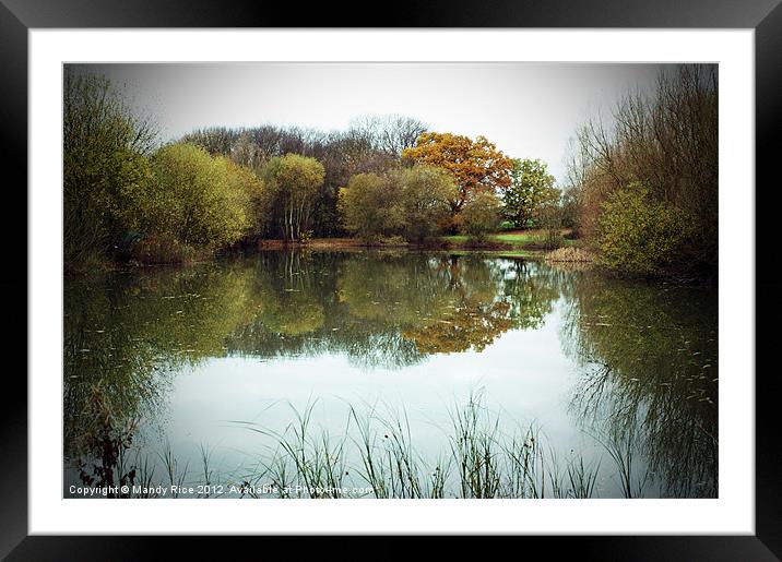 Reflections in the lake Framed Mounted Print by Mandy Rice
