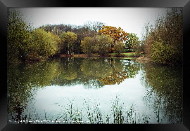 Reflections in the lake Framed Print by Mandy Rice