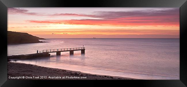 Pretty in Pink Framed Print by Chris Frost