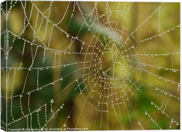 drop catcher Canvas Print by Jo Beerens