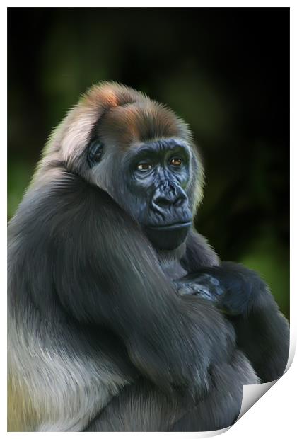 Nyango Cross River Gorilla Print by Julie Hoddinott