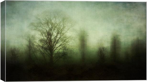 misty morning Canvas Print by Heather Newton