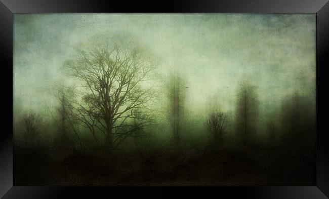 misty morning Framed Print by Heather Newton