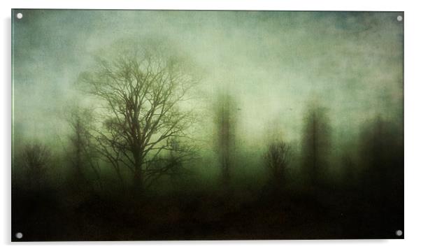 misty morning Acrylic by Heather Newton