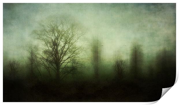 misty morning Print by Heather Newton