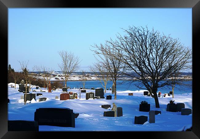 Graveyard With A View Framed Print by Faith Comeau