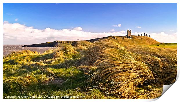 Breezy Dunstanburgh 2 Print by Colin Chipp