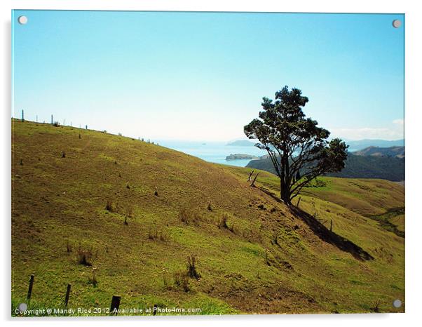 Along the Coromandal Peninsular NZ Acrylic by Mandy Rice