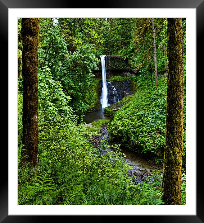 Middle North Falls Framed Mounted Print by David Wynia