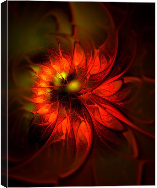 Flame Lily Canvas Print by Amanda Moore